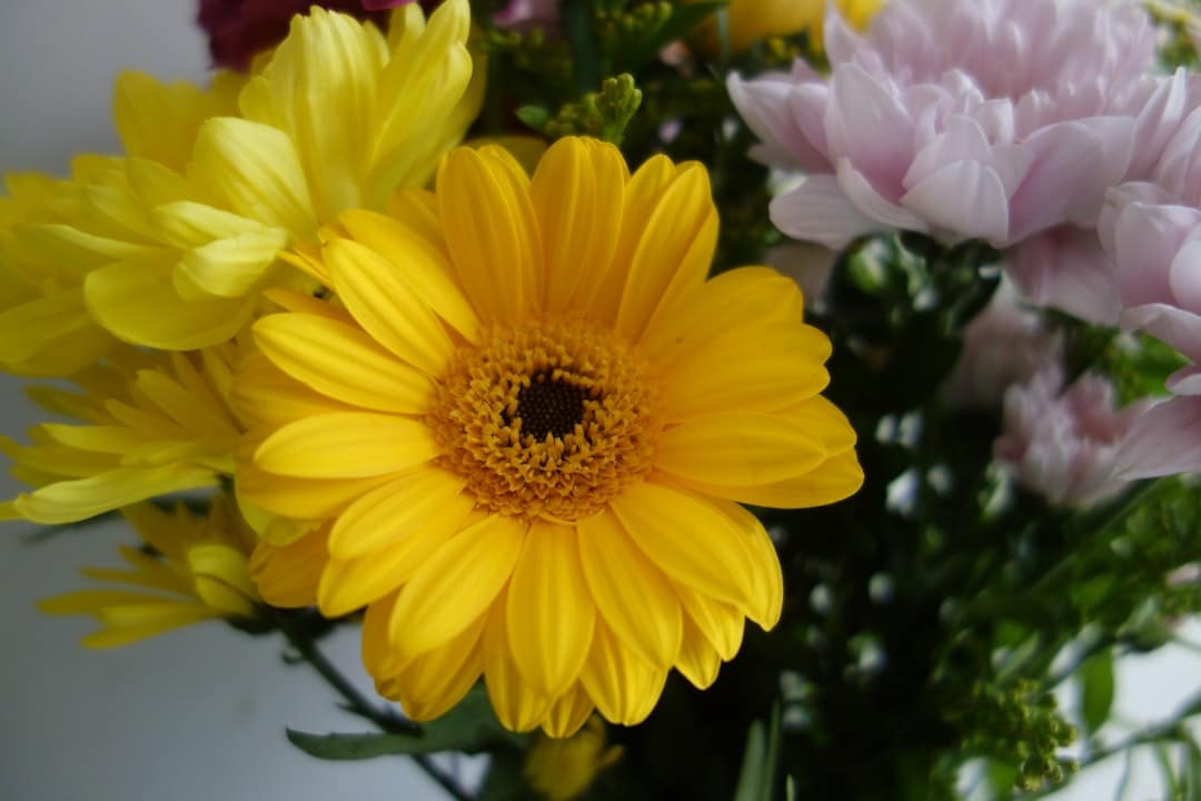 Photo Bouquets Flowers