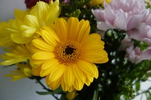 Photo Bouquets Flowers