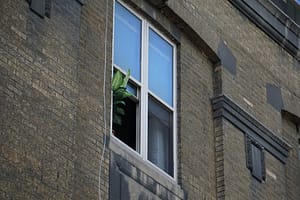 Photo window cleaning services