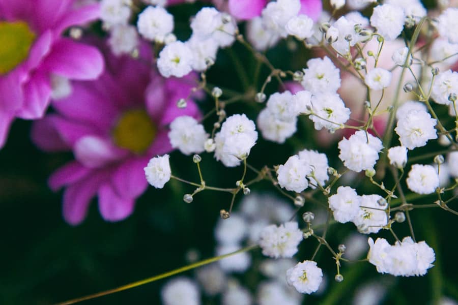 Photo Bouquets Flowers
